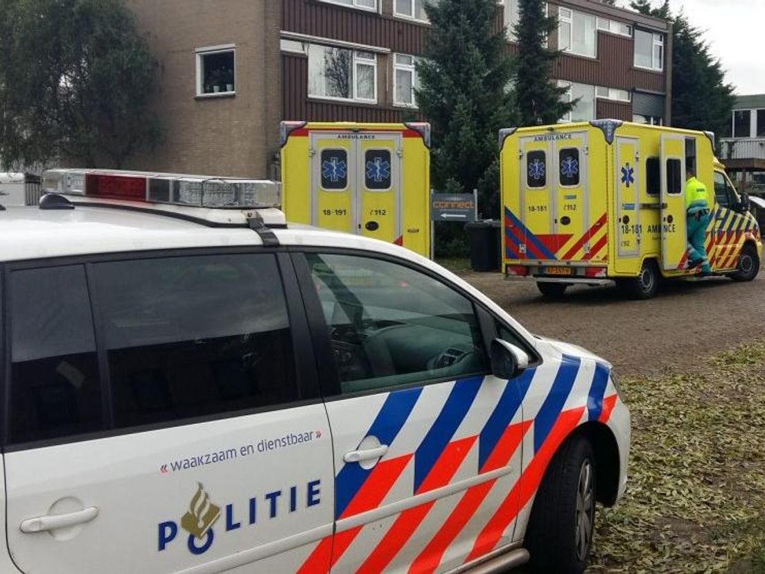 Loslopende honden bijten mensen in Sliedrecht