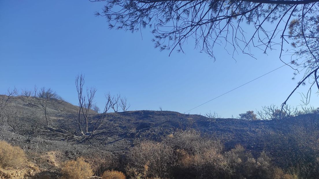 Veel natuur op Lesbos is verwoest door de branden