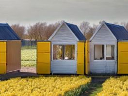 Veel animo voor tiny houses op bollenvelden: 'We hopen op 250 woningen binnen drie jaar'
