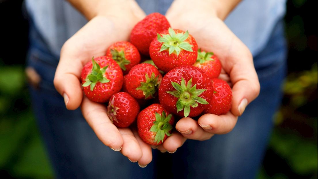 Aardbeien