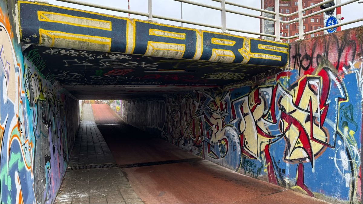 Leeuwarden verwijderde graffititekst 'Free Palestine' ten onrechte