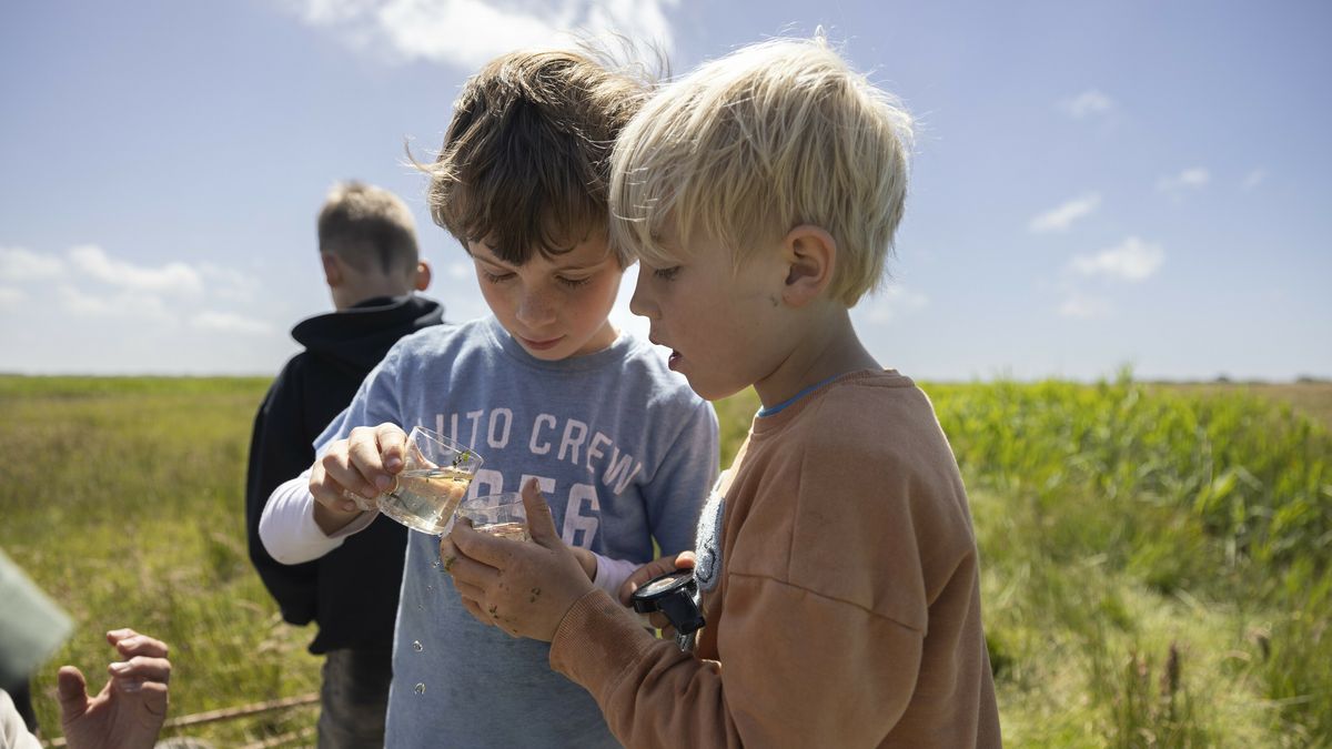 Op pad in de Drentse natuur: speuren in de meivakantie
