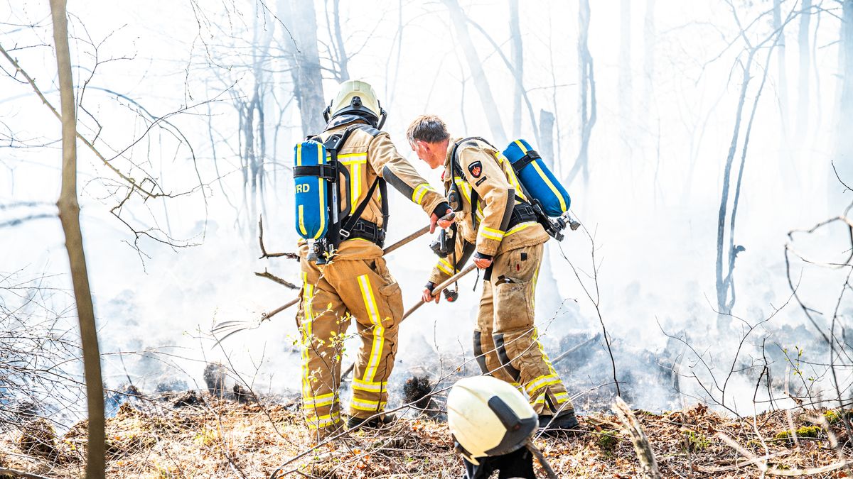 Brandweer heeft brand op Dwingelderveld onder controle