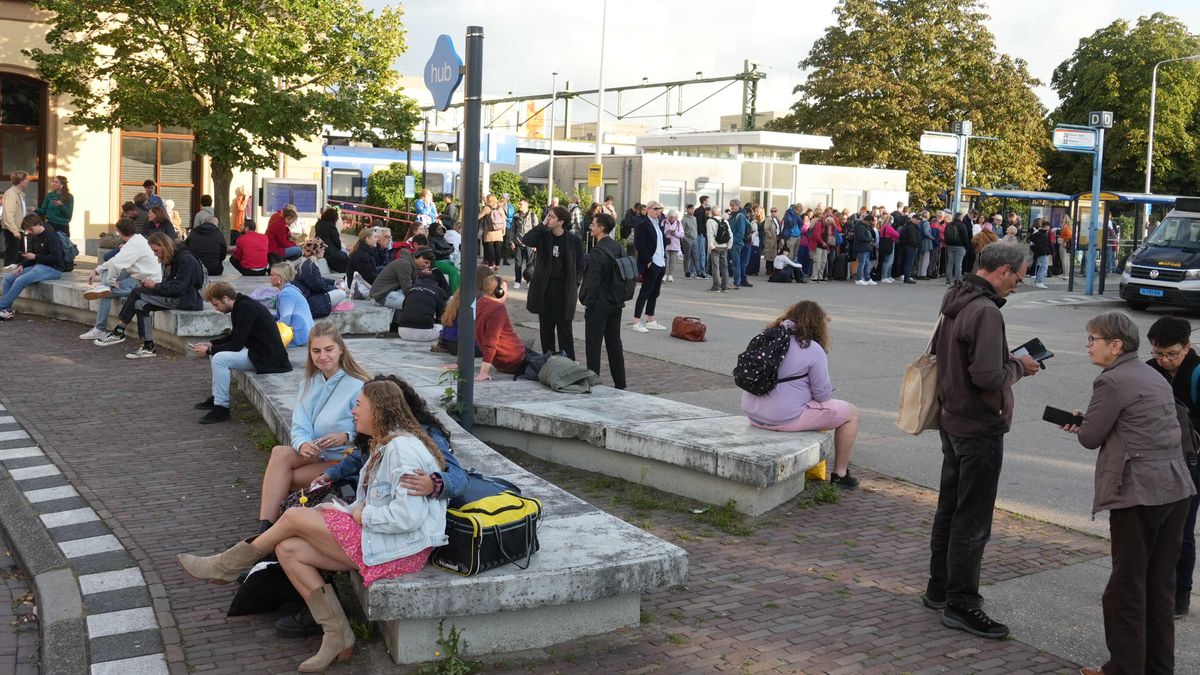 Overhead Line Repaired: Train Service Resumes between Meppel and Zwolle