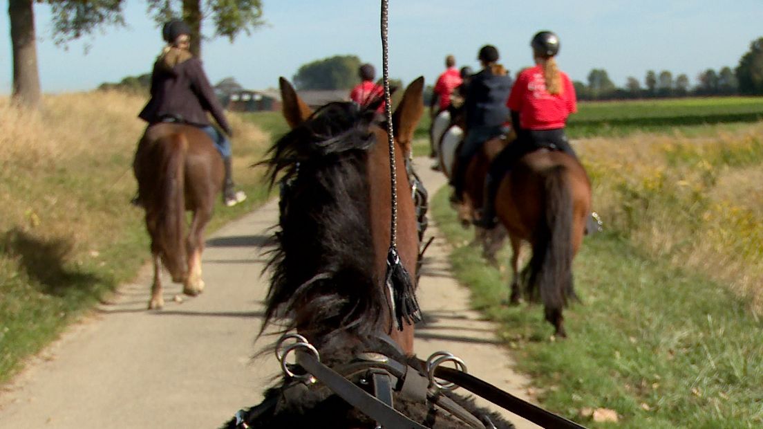 Met je paard tussen de auto's die tachtig rijden...