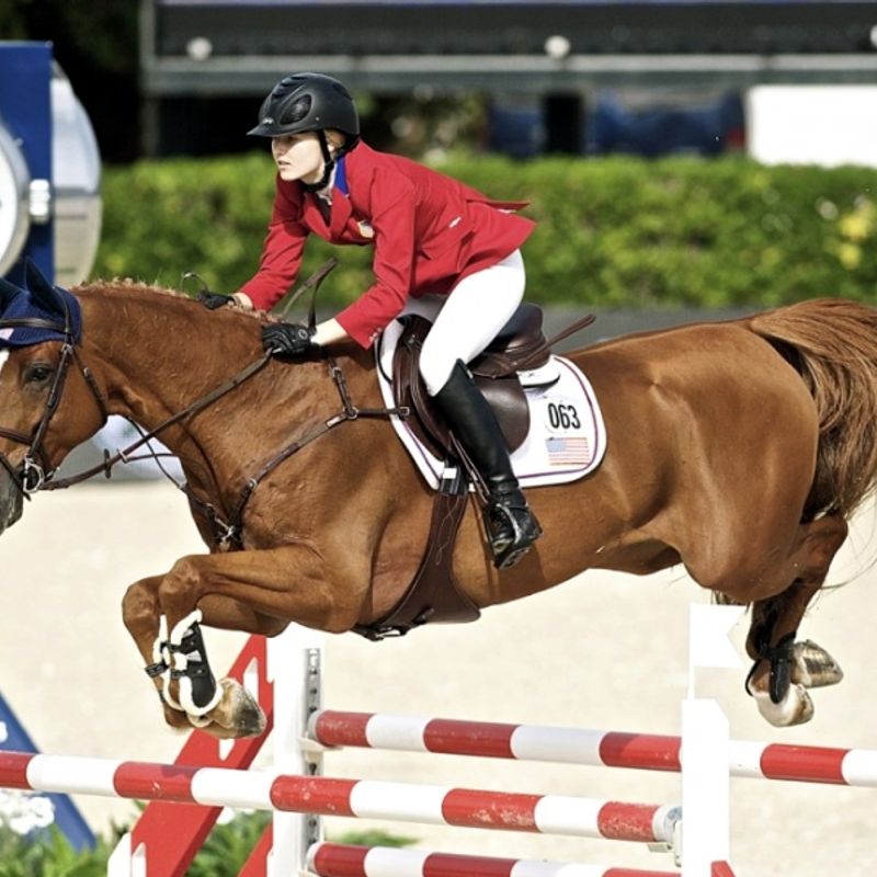 CHIO Start 4 jarige Opleiding Paardensport Rijnmond chio-start-4-jarige-opleiding-paardensport-rijnmond