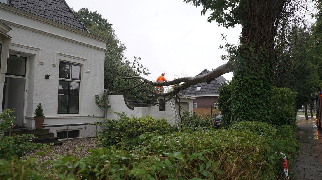 Door het noodweer is een tak op een huis in Olst gevallen