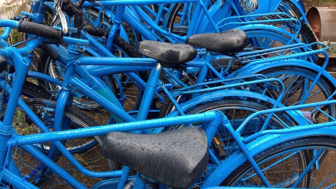 De blauwe fietsen in Hoogeveen (Rechten: Delia Bremer)