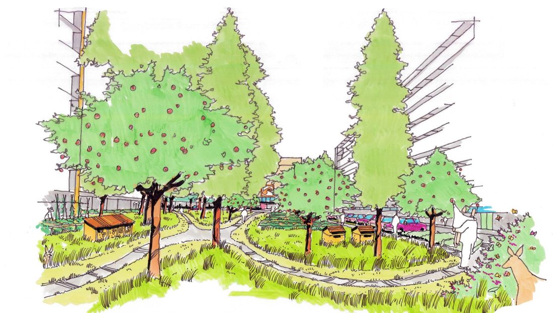 In Paddepoel zou een park kunnen komen rond de Castor-, Pollux-, en Morgensterflats