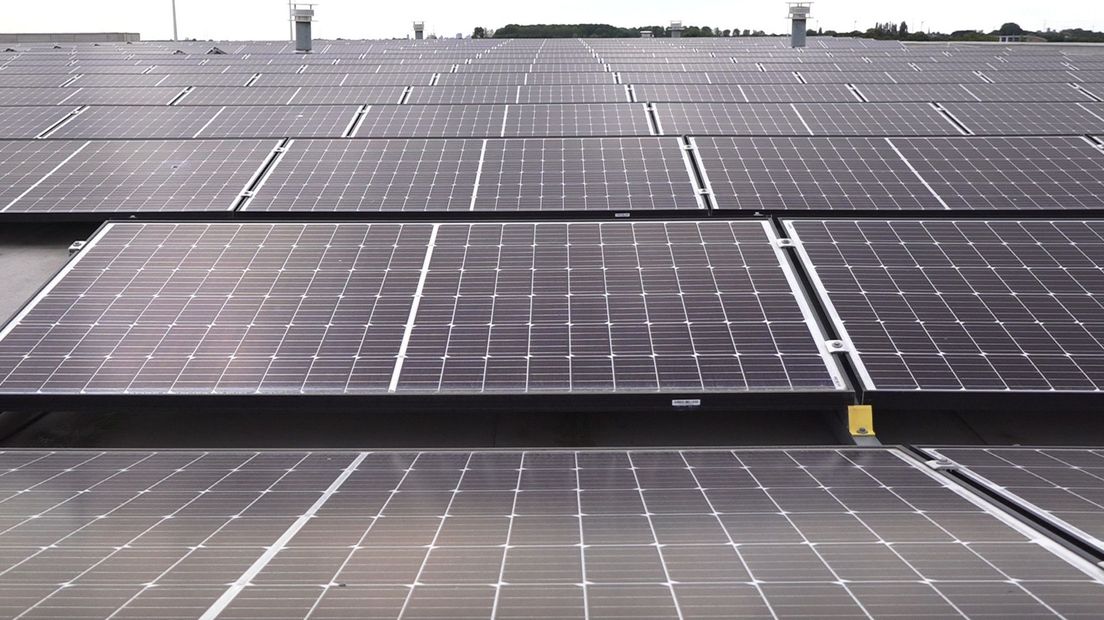 Op het dak van de sociale werkplaats Rijnvicus liggen bijna 2000 zonnepanelen
