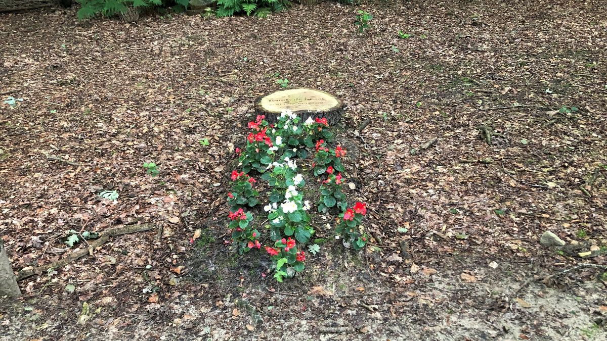 Veel animo voor natuurbegraafplaatsen: Appelscha en Nieuwehorne breiden uit