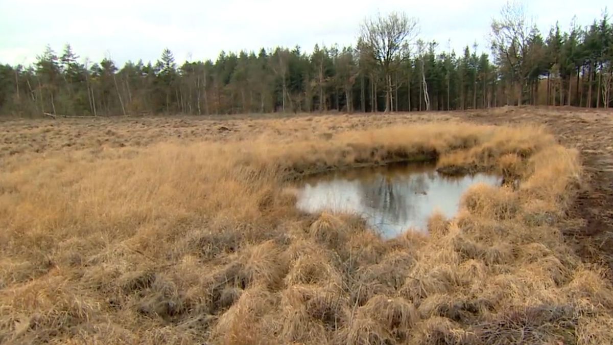 Bijzonder aardkundig verschijnsel op Landgoed Boschoord