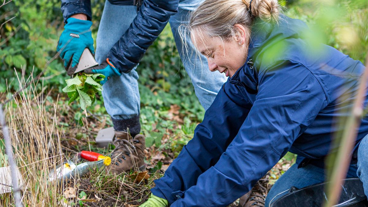 Laarzen uit het hok, handschoenen aan en aan de slag in de natuur: in heel Fryslân is wel iets te do