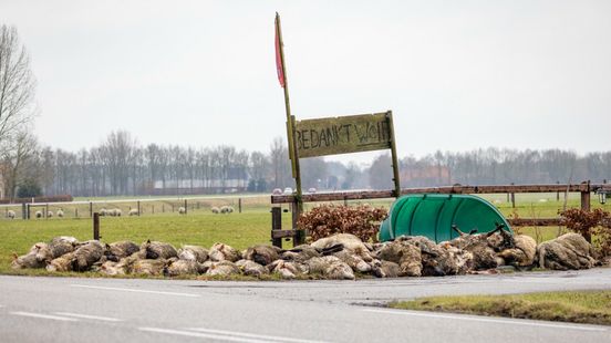 ecc4b6f9-2a82-3e11-bdfc-d489934d7828.jpg?width=552&height=310&aspect_ratio=552:310&cb=2acadf50ec3474d004a84dc000b1940b