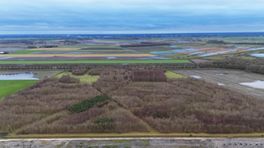 Slochteren krijgt grootste natuurbegraafplaats van onze provincie: 'Ben hier al vier jaar mee bezig'