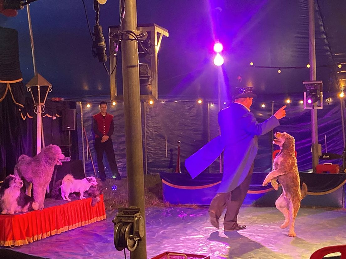 Luister terug: Circus in de zorg: Allemaal Aafje 19 september 2022