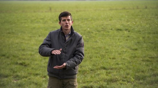 Drents veen stoot bijna twee keer zoveel broeikasgassen uit als gedacht: 'Tikt echt aan' Nieuws