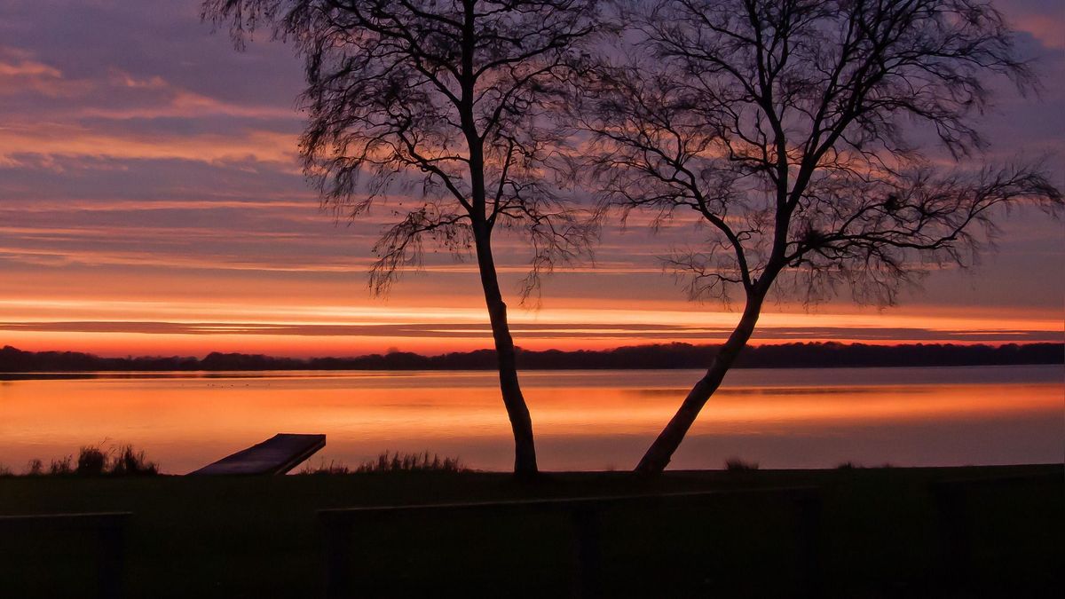 Nannewiid bij Oudehaske waarschijnlijk in 2023 gebaggerd: 