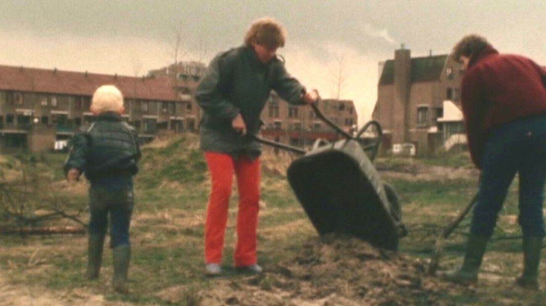 Lewenborg, Groningen in 1971