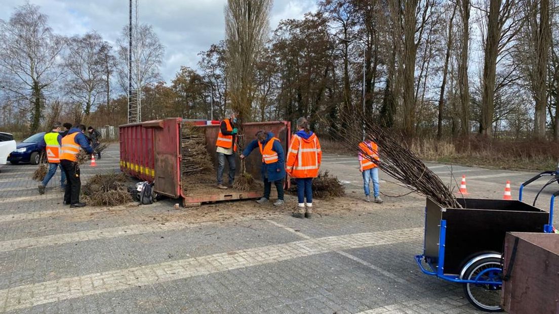 De perenbomen waren in een mum van tijd de container uit.