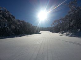 Australisch Erica zit midden in het skiseizoen: 'Slechtste start in zeventig jaar'