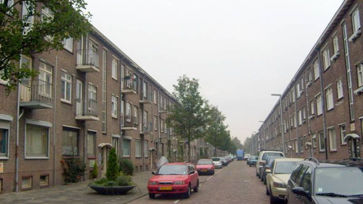 Bijzondere zoektocht naar naam biologische vader - Rijnmond