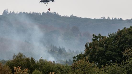 Oorzaak bekend van grote natuurbrand in Duitsland afgelopen juli Nieuws