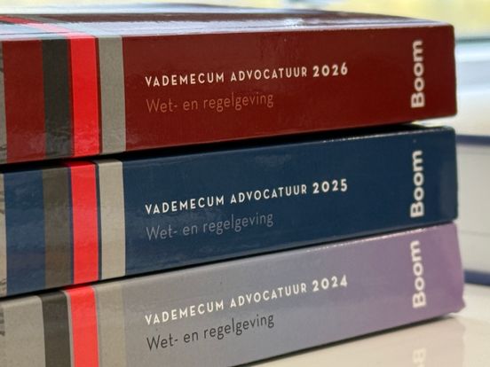 Vereniging voor familieadvocaten spreekt van 'beschadigende praktijken' rond echtscheidingen en wil extra controles