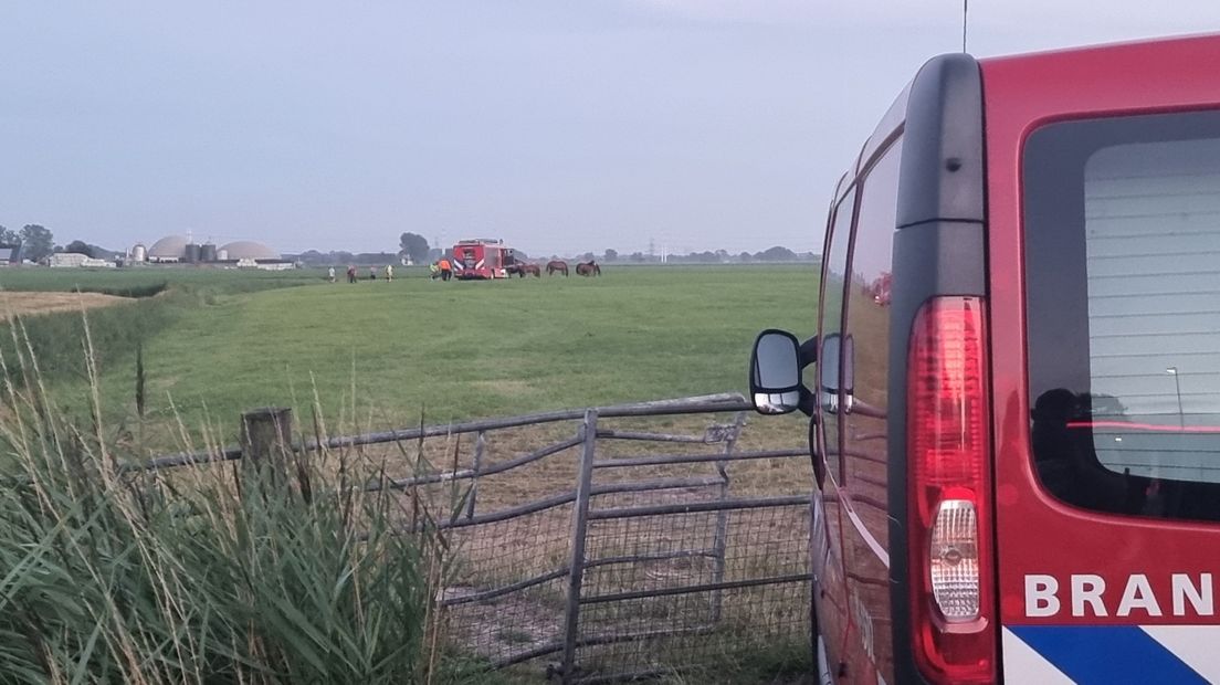 Brandweerlieden halen het paard uit de sloot