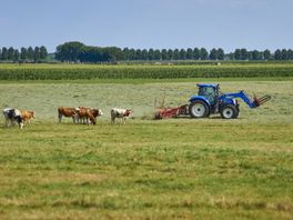 Provincie Overijssel akkoord over uitkoop van zes boerenbedrijven