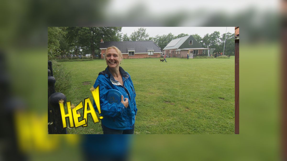 HEA! Hoog springen in Boelenslaan