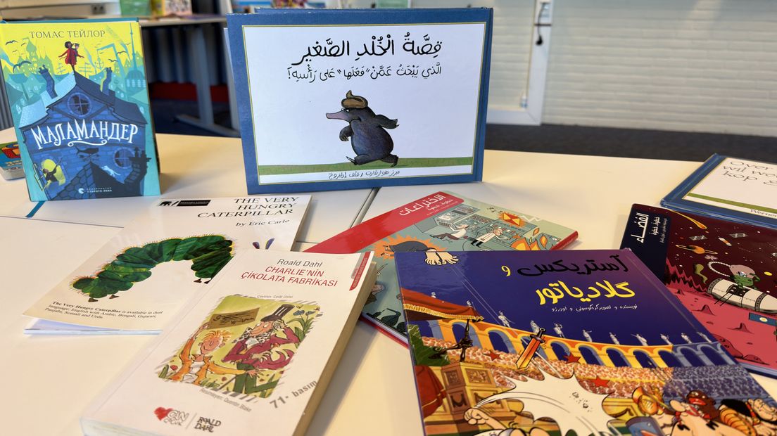 In de bibliotheek van de scholen zijn boeken in de moedertalen van de leerlingen te vinden.