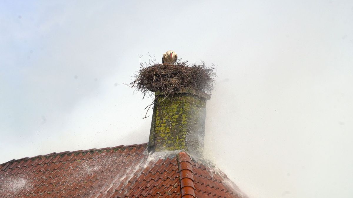 Brand in leegstaande boerderij Veeningen lijkt ooievaar niet te deren