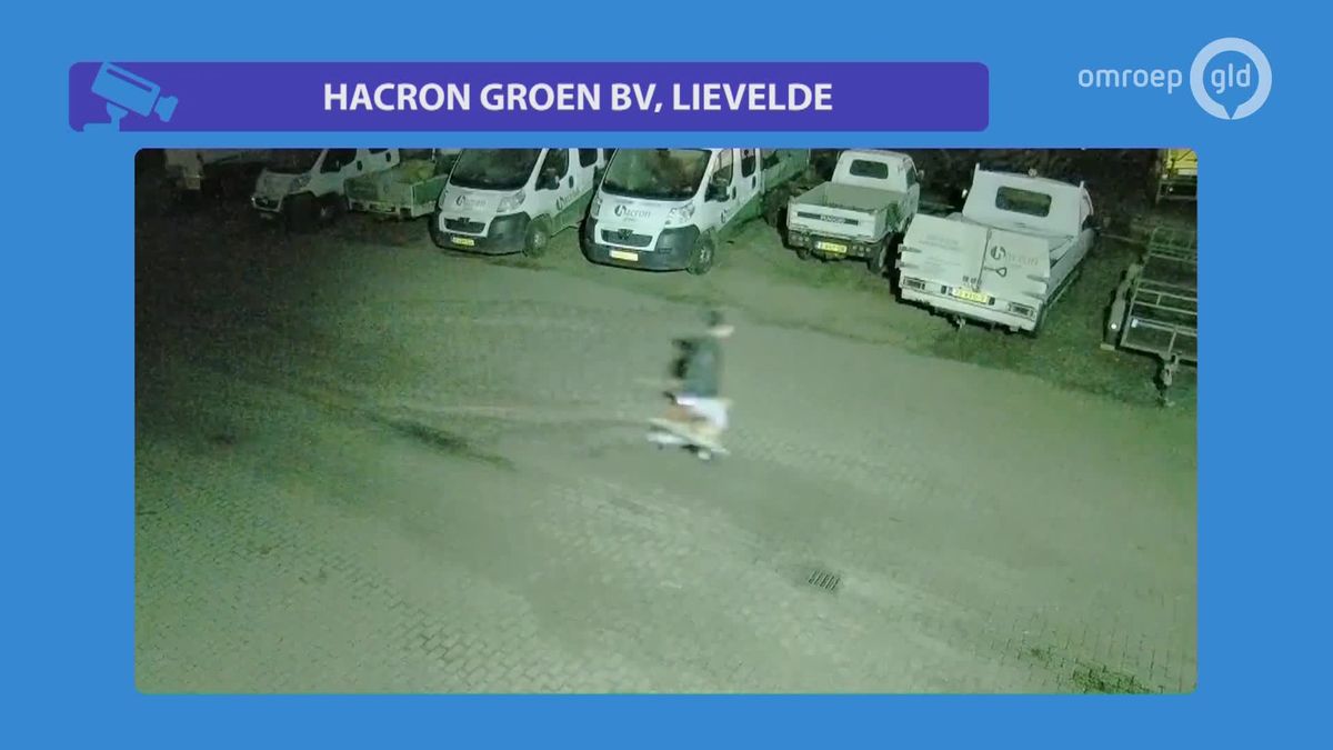 Motorkettingzagen gestolen in Lievelde