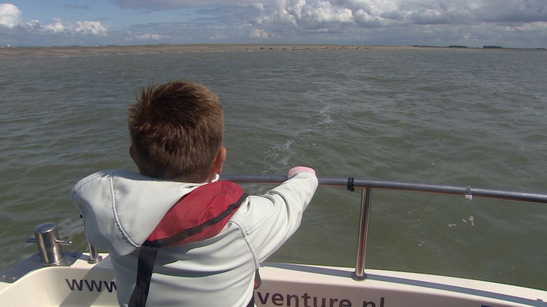 Zieke kinderen maken zeehondentoer op Westerschelde