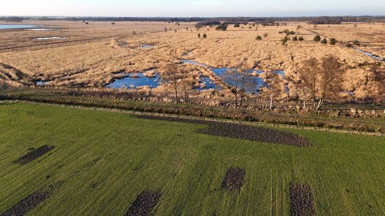 Staatsbosbeheer wacht tot 2028 met grote ingrepen in Engbertsdijksvenen Nieuws