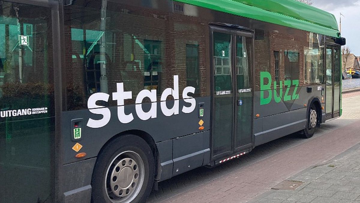 Nieuwe dienstregeling van bussen in onze regio: de belangrijkste wijzigingen op een rijtje