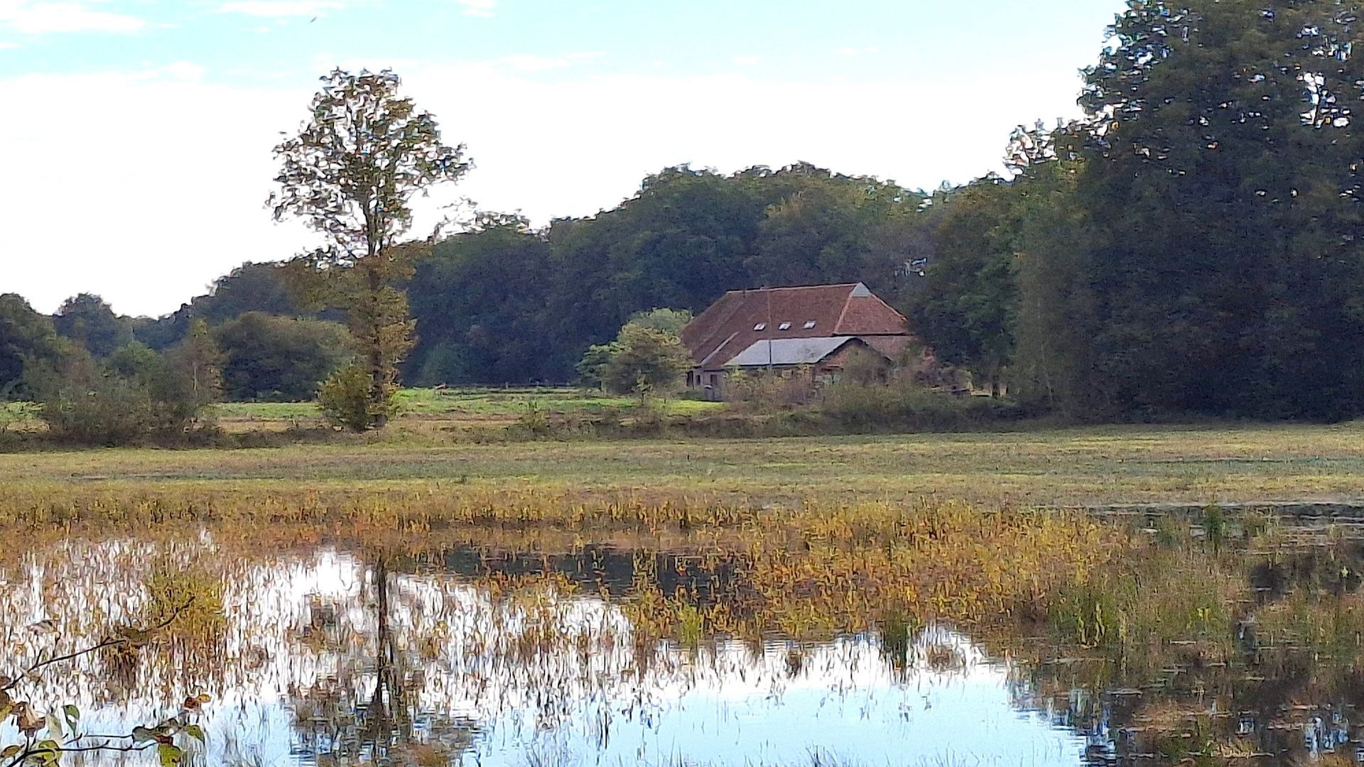 Wandeling door Natura 2000-gebied Stelkampsveld op 17 mei.