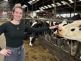 "Strengere mestregels betekenen doodsteek veehouderij";  boeren roepen op tot herziening mestbeleid