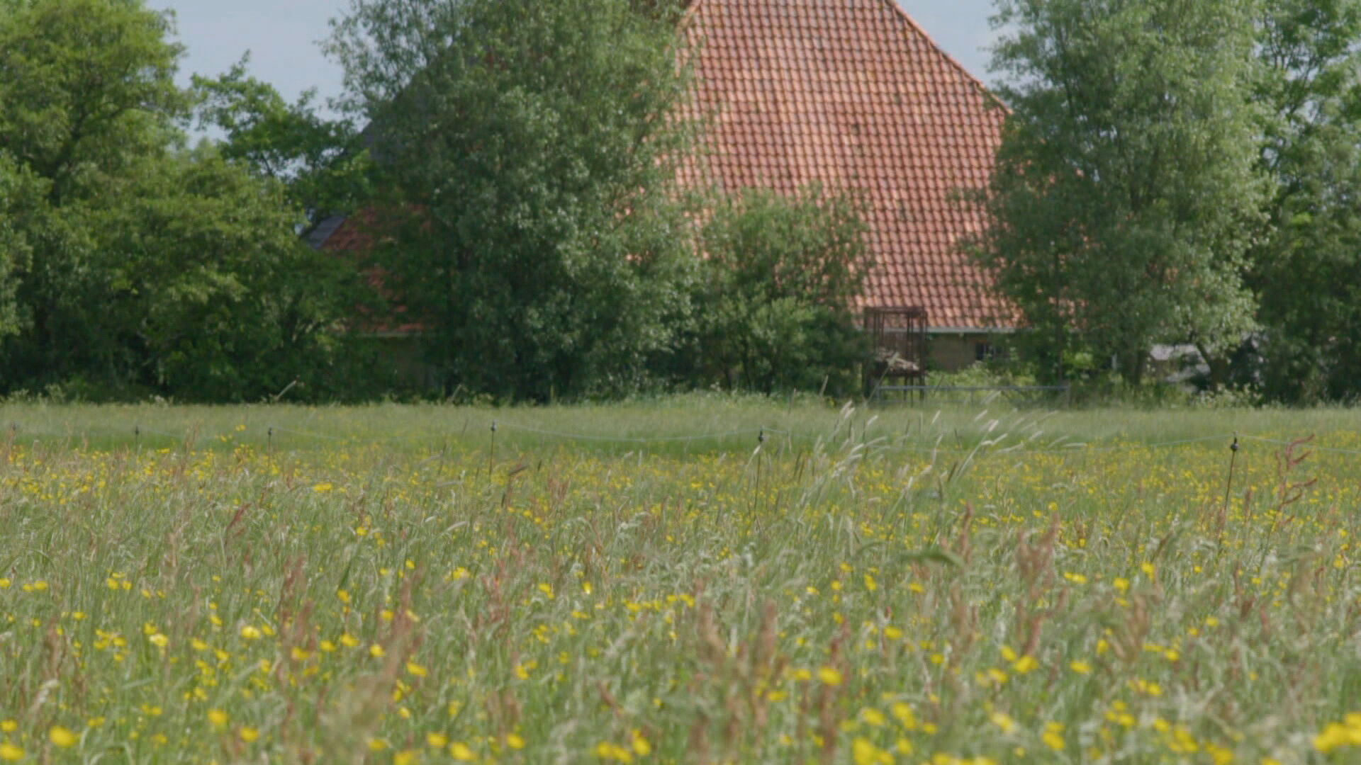 In pleats en blomryk lân
