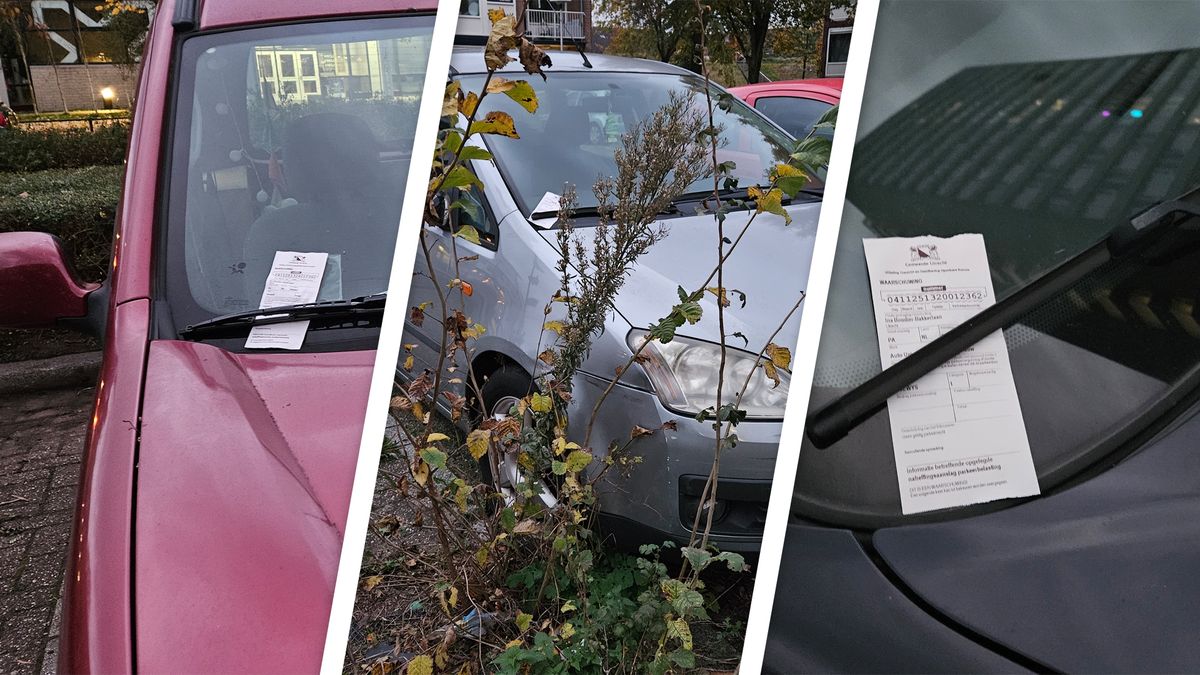 Bonnen op geparkeerde auto's bij studentencomplex: 'Staan er soms al jaren'