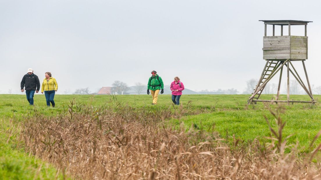 Wandelaars in het veld