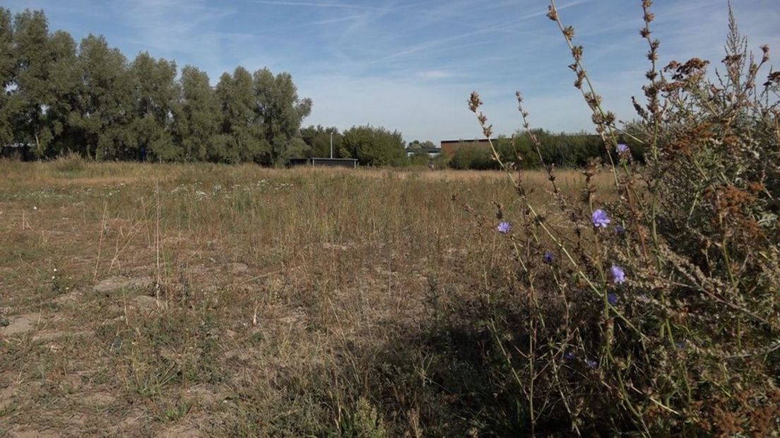 Er komen hier toch geen skaeve huse in Apeldoorn-Noord.