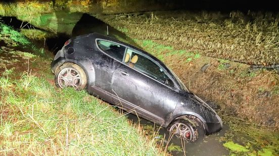 Auto belandt in sloot, vos dood