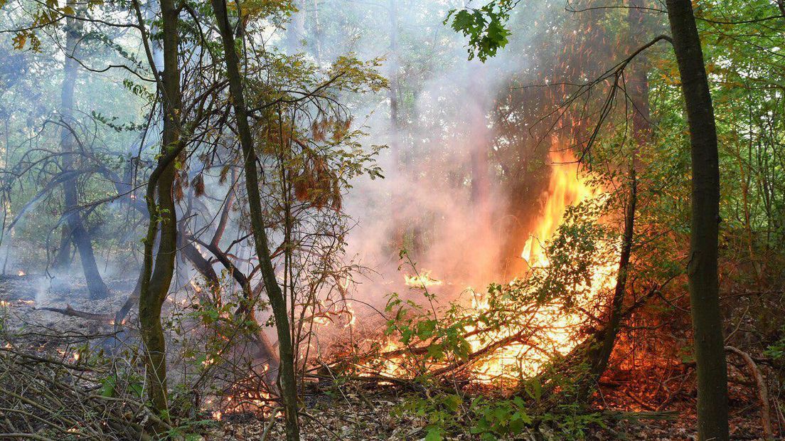 Door nog onbekende reden is brand ontstaan bij het Emmense bos aan de Boslaan (Rechten: De Vries Media)