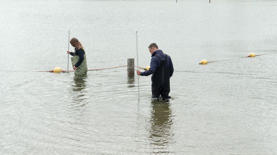 Lieslaarzen aan, peilstok mee: inspecteurs controleren de Wijthmenerplas Home