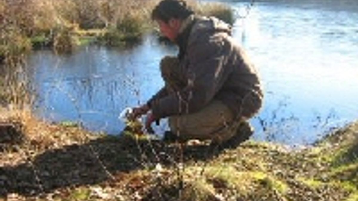 Oerbacterie maakt land vruchtbaar