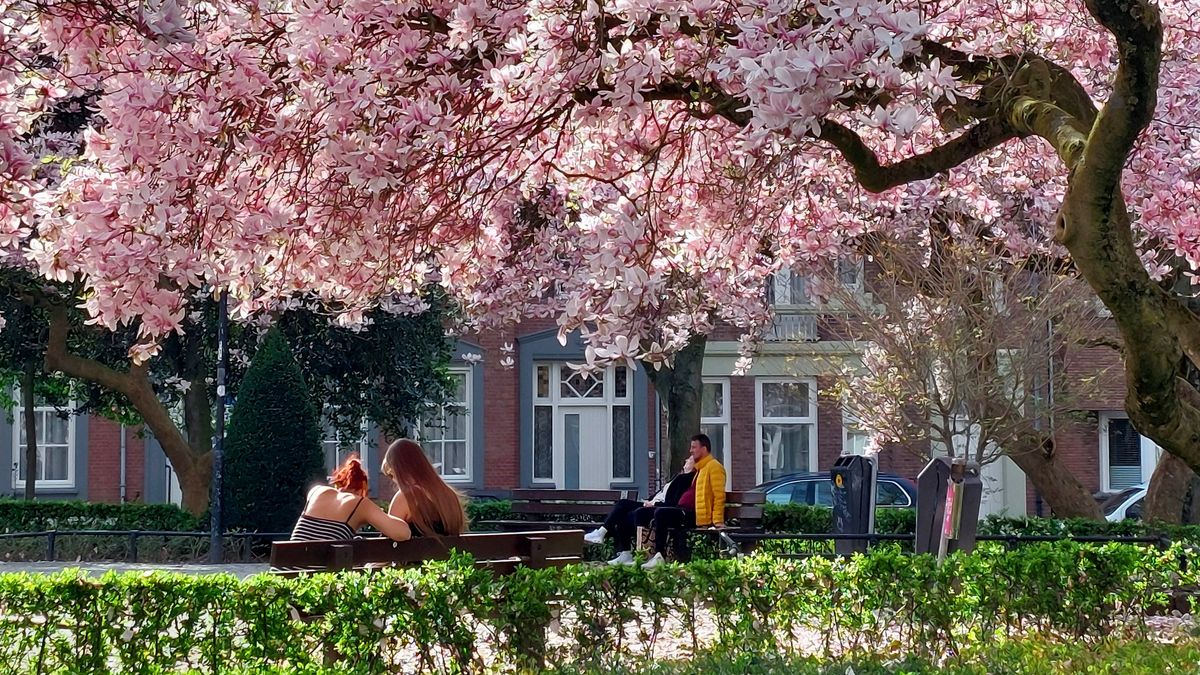 Limburg Kiekt: Mook, Grathem, Heerlen en...