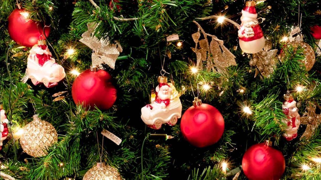 Het Groenbedrijf Deventer gaat kerstbomen verhuren