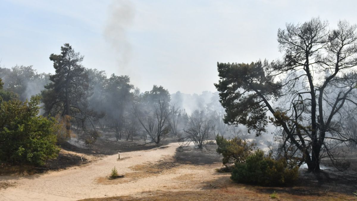Hele dag geen treinen tussen Venray en Boxmeer vanwege grote natuurbrand